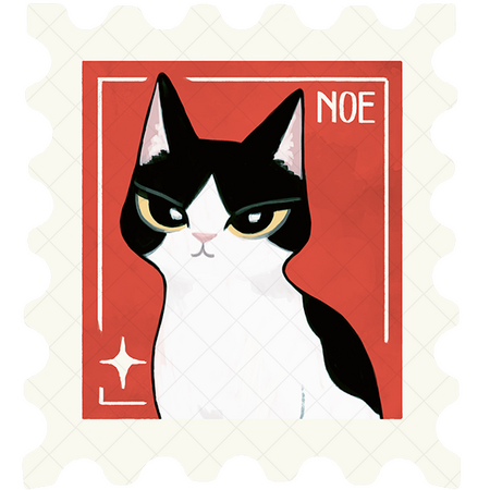 My cat : Noe