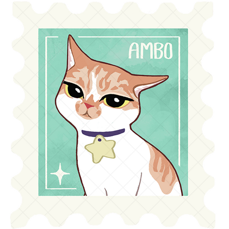 CM : Ambo